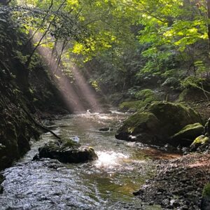 現在夏季休業中です