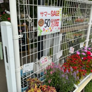 SALE！